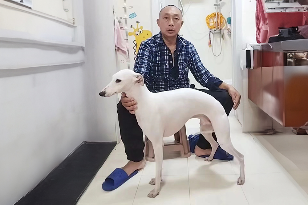 ൺСͷȮ